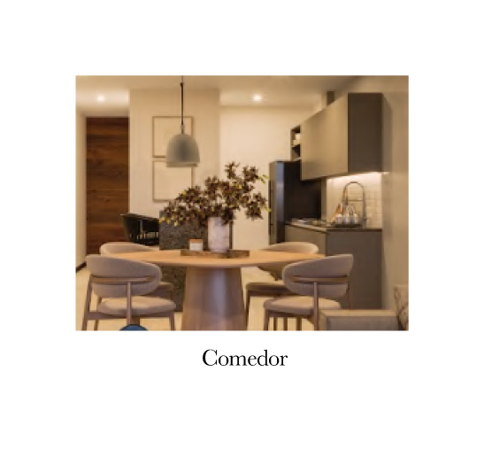 comedor-modelo-pintura